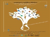 Persian Miniature & Calligraphy Exhibition – ARSICA International Festival